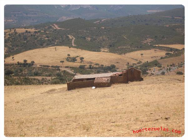 Cortijo De La Primitiva